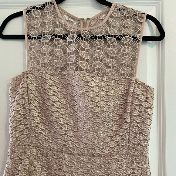 Diane von Furstenberg DVF Kinchu Lace Sheath Dress - Size 4 - Picture 6 of 13